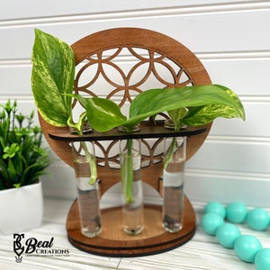 May include: Wooden plant stand with a circular cutout design. Three glass test tubes are inserted into the stand, each holding a green plant with leaves. The stand is on a white surface.