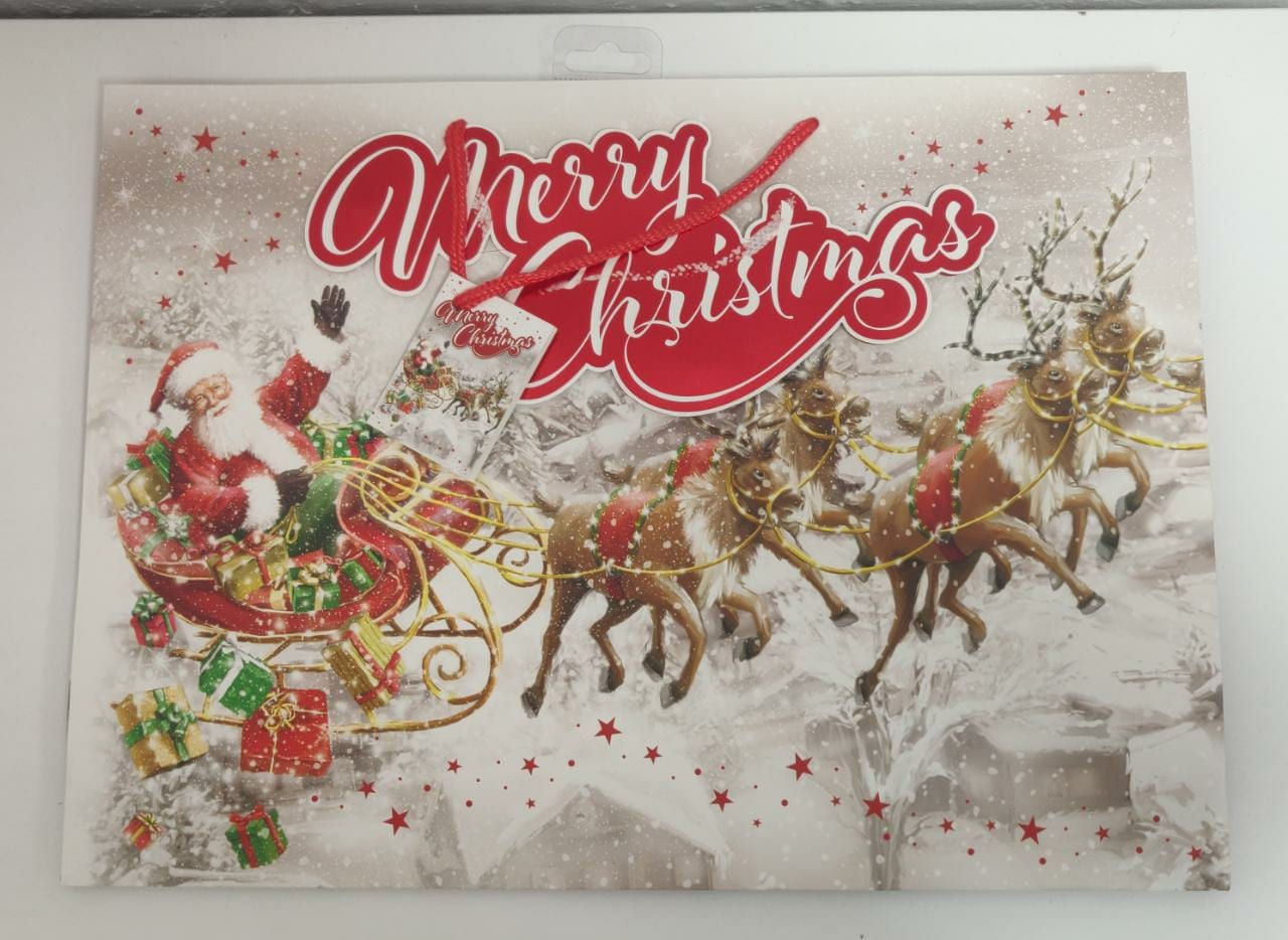 Christmas Gift Bags, Multi Sizes Multi Pack free Delivery on 15pounds