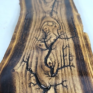 Live Edge Fractal Burn Olive with Shou Sugi Ban Burning
