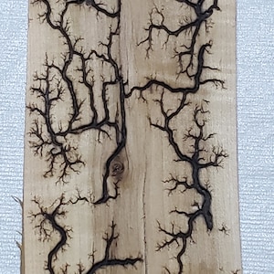 Live Edge Fractal Burn Ash Wood