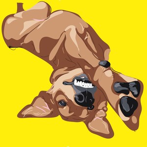 Digital Drawn pets cartoon