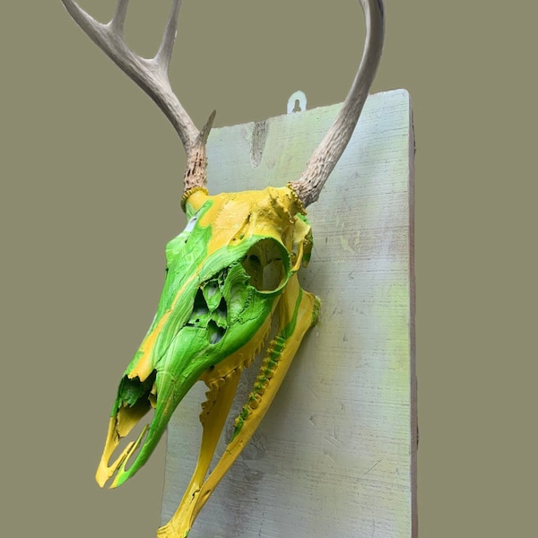 Deer Mount Backboard Etsy