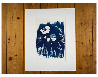 Poppy in long grass unique nature cyanotype photograph print