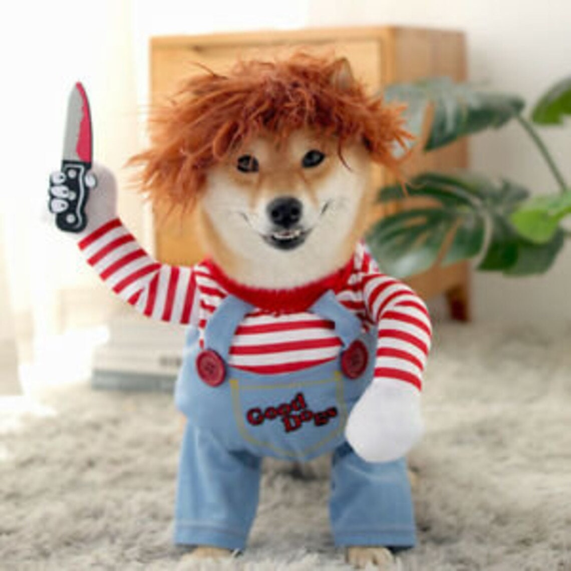 CHUCKY PET COSTUME Funny Pet Costume, Chucky Dog Costume, Pet Cosplay