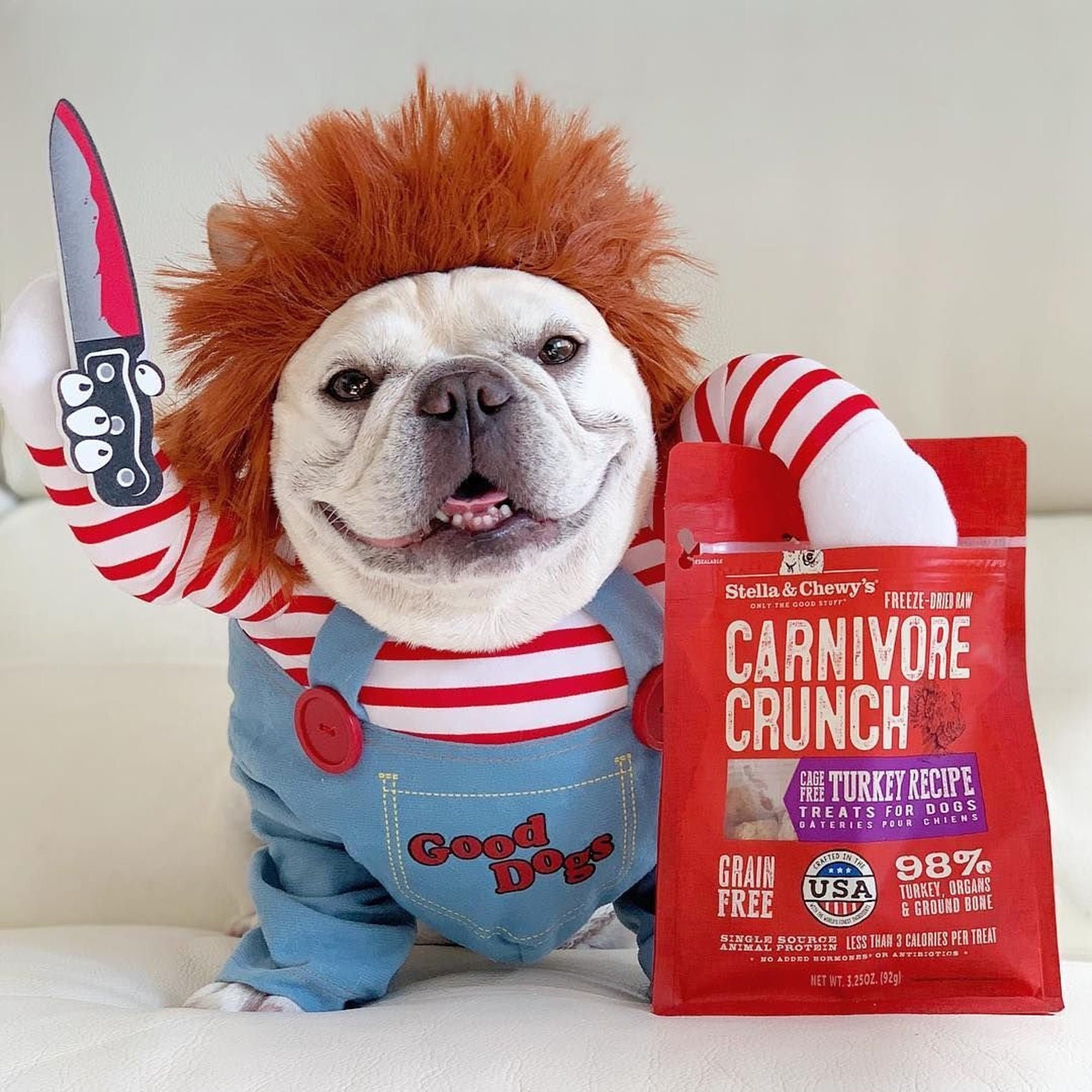pug dressed as chucky