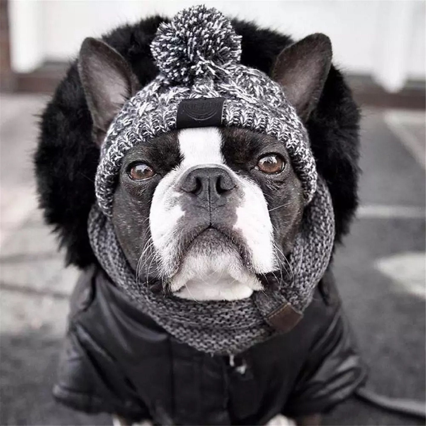 FRENCHIE Fluffy Black Fur Ball French Bulldog Keychain Pompom Animal Bag  Charm