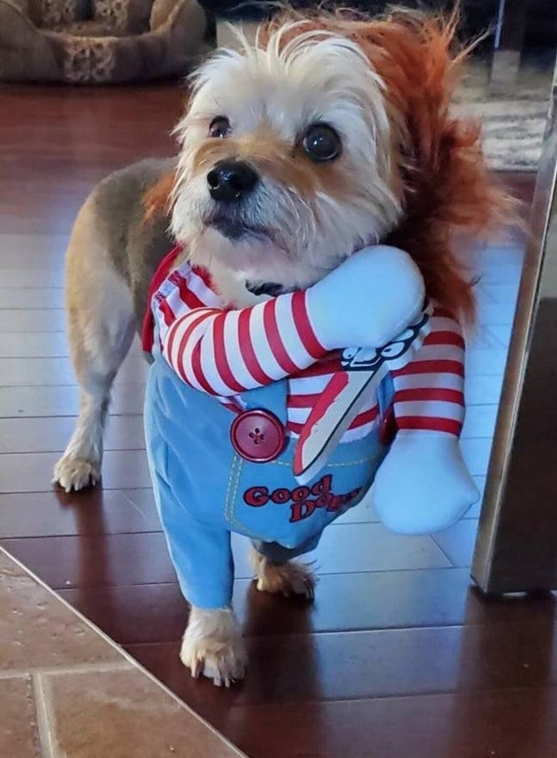 CHUCKY PET COSTUME Funny Pet Costume, Chucky Dog Costume, Pet Cosplay