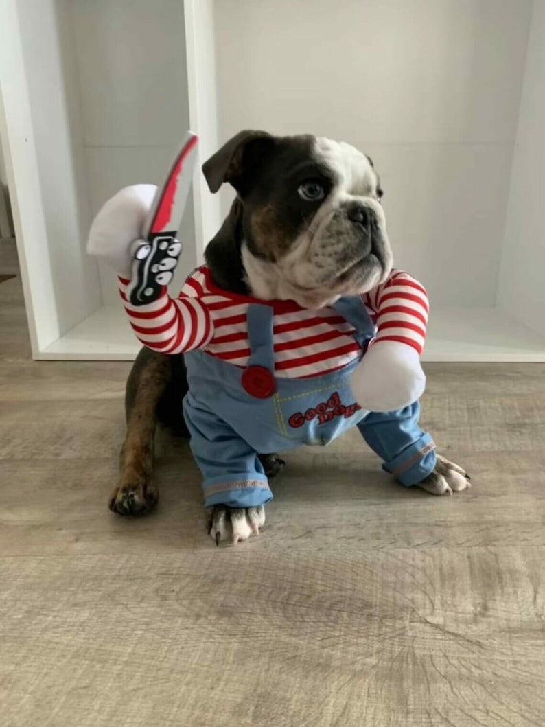CHUCKY PET COSTUME Funny Pet Costume, Chucky Dog Costume, Pet Cosplay, Party Dog Costume, Dog
