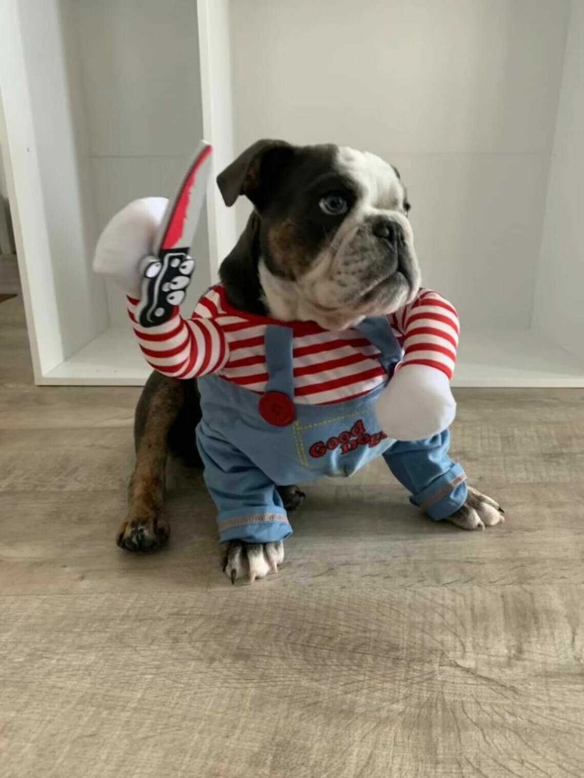 CHUCKY PET COSTUME Funny Pet Costume, Chucky Dog Costume, Pet Cosplay