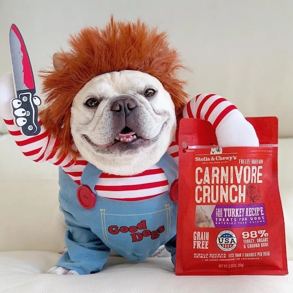 CHUCKY PET COSTUME - Disfraz de mascota divertido, Disfraz de perro Chucky, Cosplay de mascota, Disfraz de perro de fiesta, Ropa de perro, Disfraz de perro