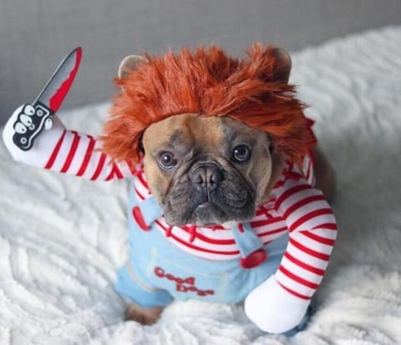 CHUCKY PET COSTUME Funny Pet Costume, Chucky Dog Costume, Pet Cosplay