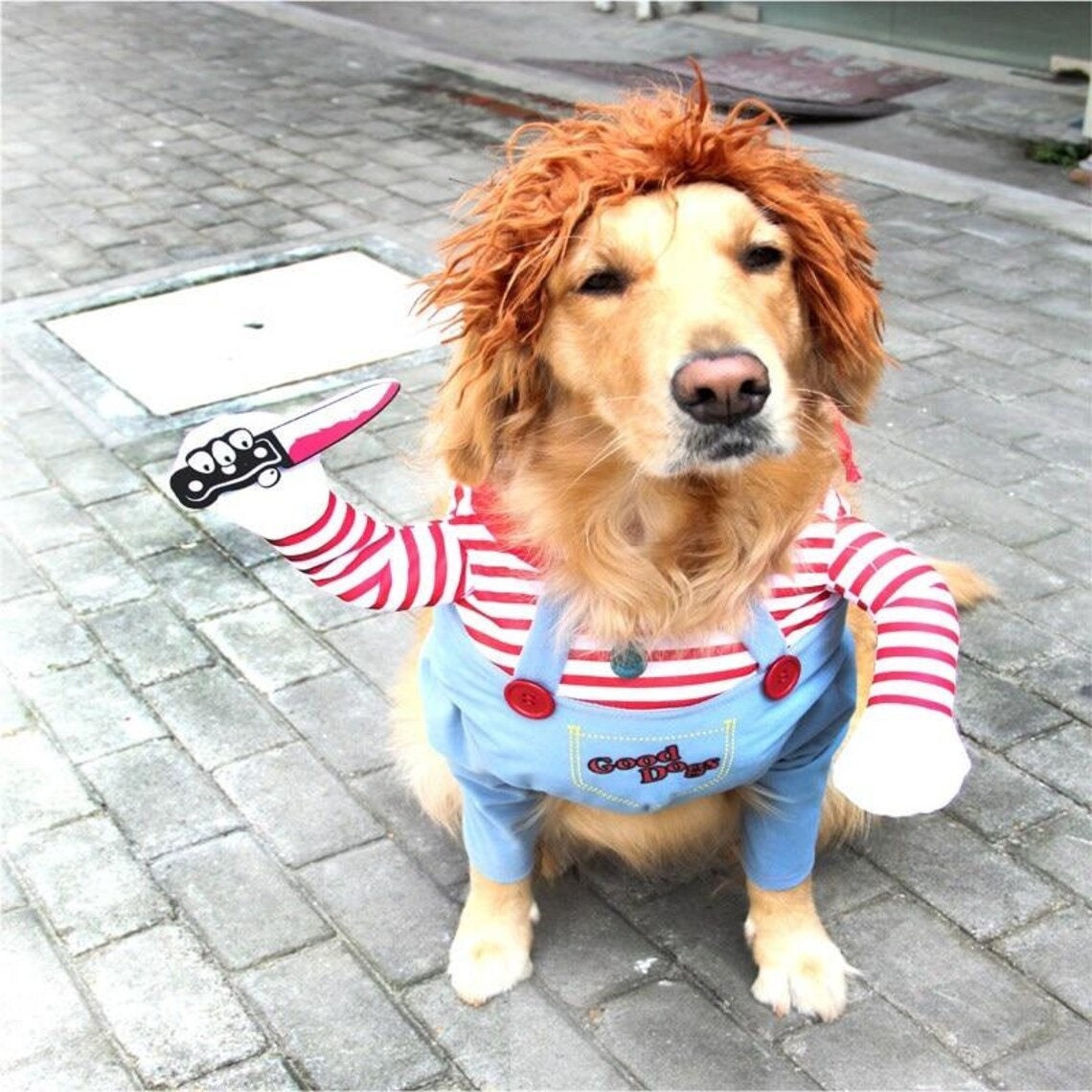 CHUCKY PET COSTUME Funny Pet Costume, Chucky Dog Costume, Pet Cosplay