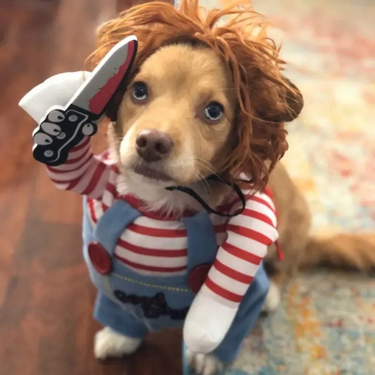 CHUCKY PET COSTUME Funny Pet Costume, Chucky Dog Costume, Pet Cosplay, Party Dog Costume, Dog