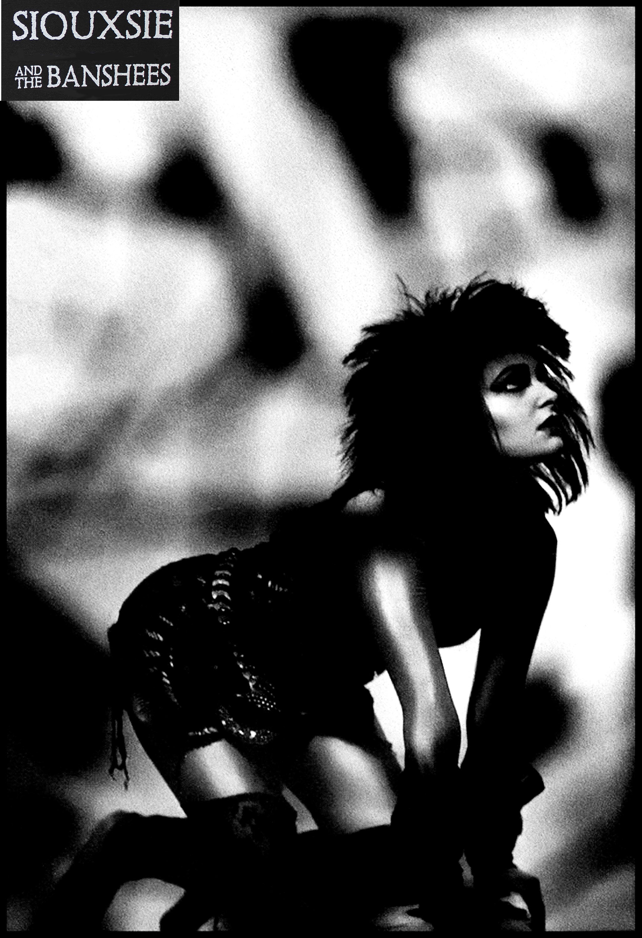 Siouxsie and the Banshees Poster: High Resolution Print (13x19