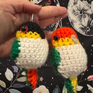 Crochet Bird Keychains – Handmade Amigurumi Parrots & Custom Pet Birds