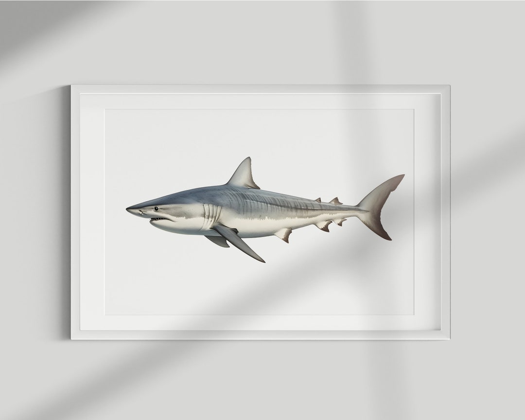 Shark Fish Print Wall Art PRINTABLE Nautical Natural Minimal Poster ...