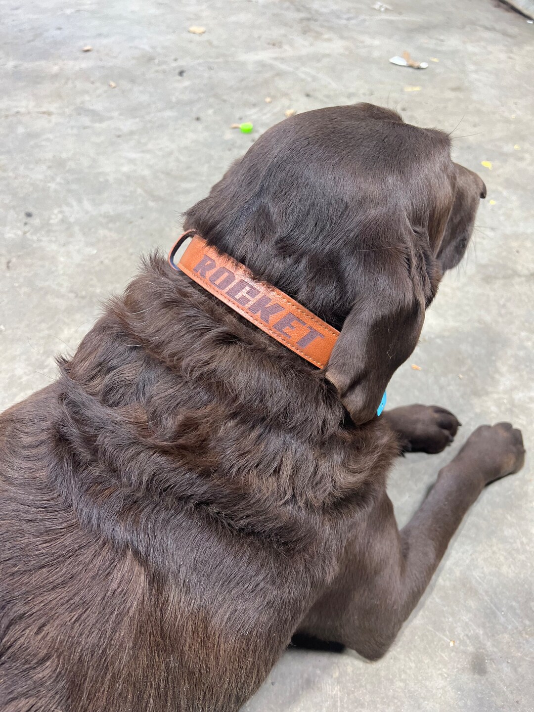 Personalized Laser Engraved Dog Collars Etsy