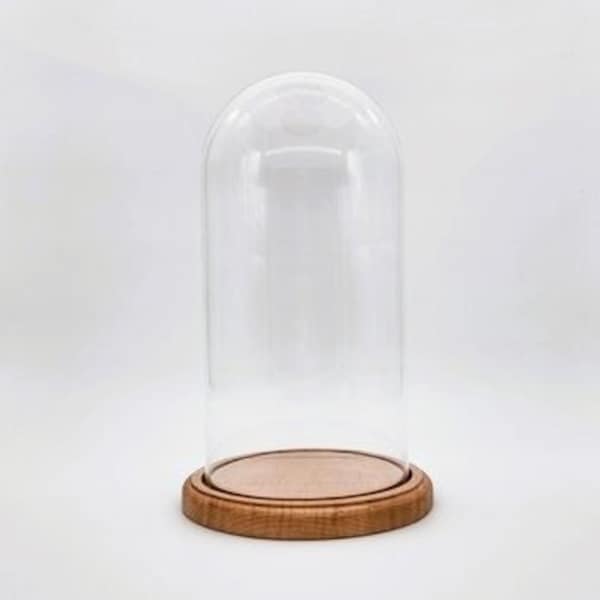 Glass Dome Display Case with Maple Wood Base, Bell Jar/Cloche