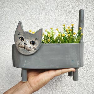 Maceta para gato hecha a mano, maceta para gato británico de pelo corto, maceta para animales pequeños, maceta para cactus.