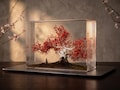 Red Maple Samurai Resin Diorama - Japanese Bonsai Art Sculpture - Autumn Tree Night Light - Zen Desk Decor - Unique Gift for Japan Lovers