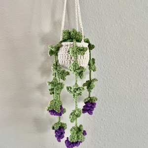 May include: A crocheted hanging planter with a white pot and green leaves. The leaves have purple berries hanging from them.