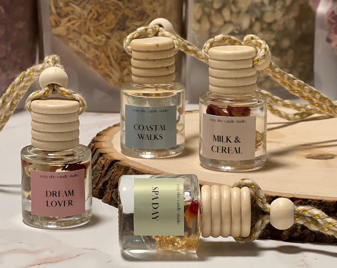 This is Bananas Air Freshener Funny Style Pop Art Cute Gift Etsy