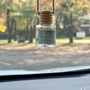 Beautiful Car Diffuser Air Freshener Cute Car accessories for women Mothers Day Car freshies Hanging Diffuser Luxury image 10