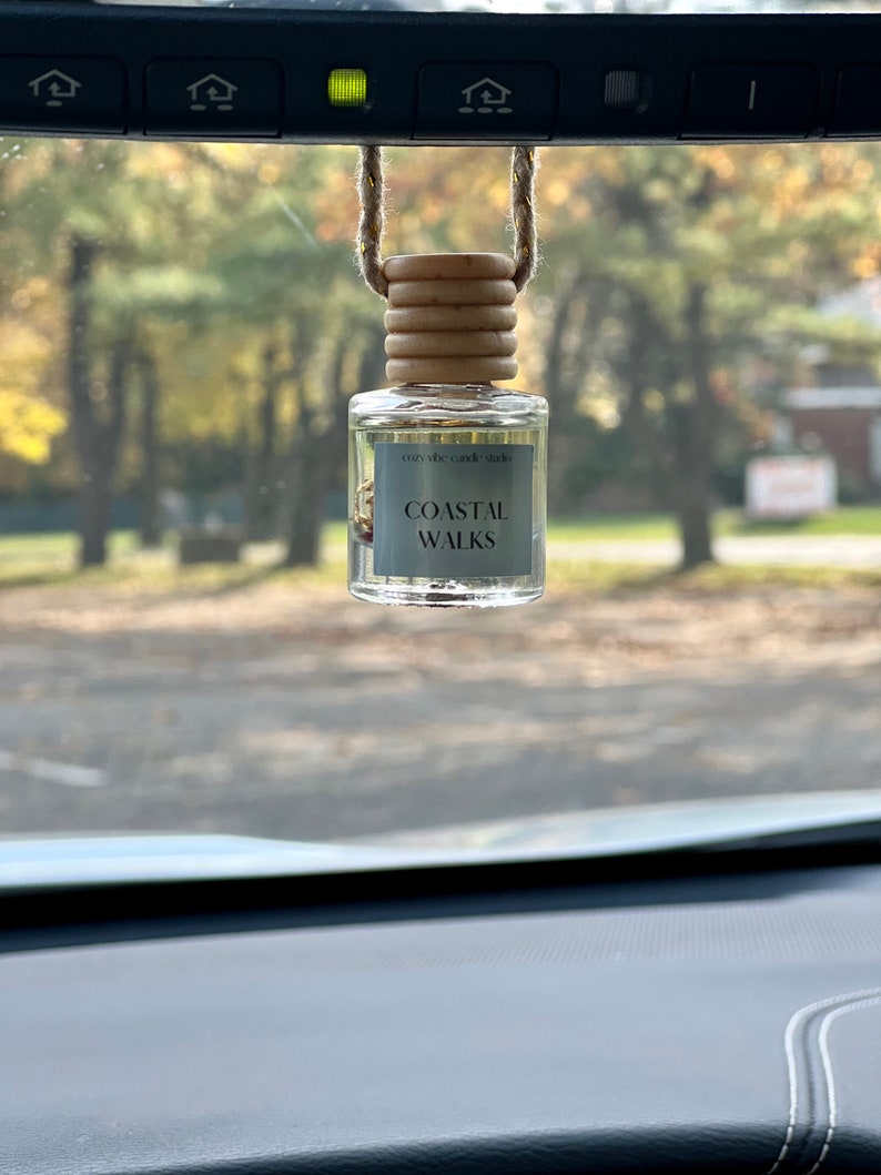 Beautiful Car Diffuser Air Freshener Cute Car accessories for women Mothers Day Car freshies Hanging Diffuser Luxury image 10