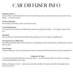 Hanging Skull Car Diffuser | Car Freshener | car accessories for women | car freshies | Car accessory | Stocking Stuffer image 2