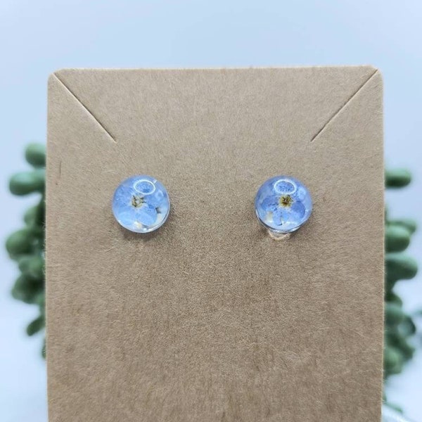 Forget me not stud earrings. Real dried flowers. Jewelry gifts for her.