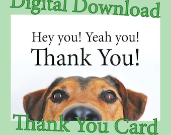 Dog Thank You