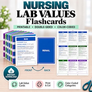 Op de afbeelding: Verpleegkundige labwaarden flashcards met een stapel kleurgecodeerde kaarten met nierinformatie op de voor- en achterkant. Een printbaar blad toont meerdere medische categorieën zoals BUN, creatinine en glucose met normale waarden.