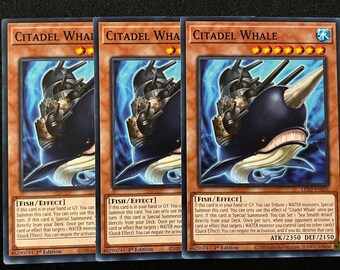 yugioh fish deck Complete Custom for Yu-Gi-Oh! sea serpent yugioh deck Deck]