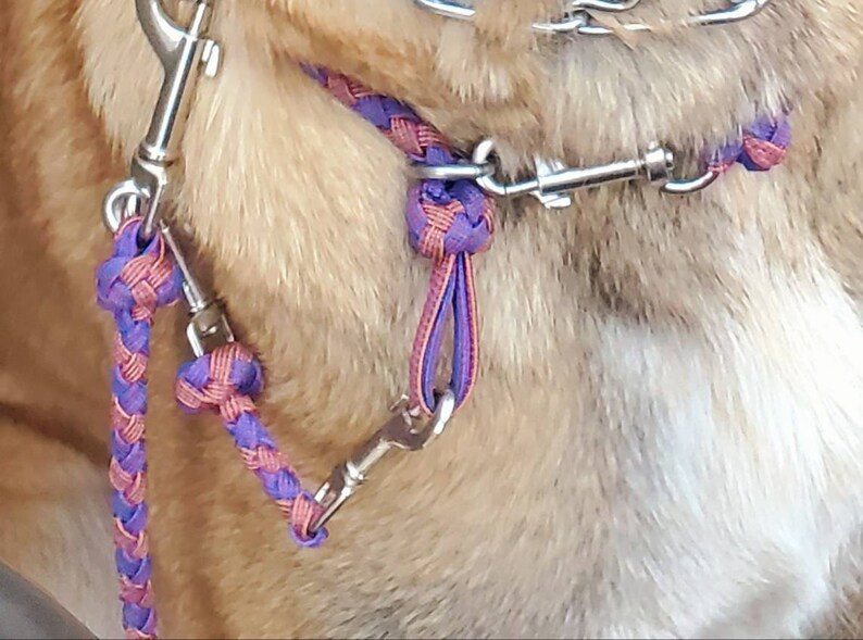 Prong Collar Backup Safety Connector Clip Leash Etsy