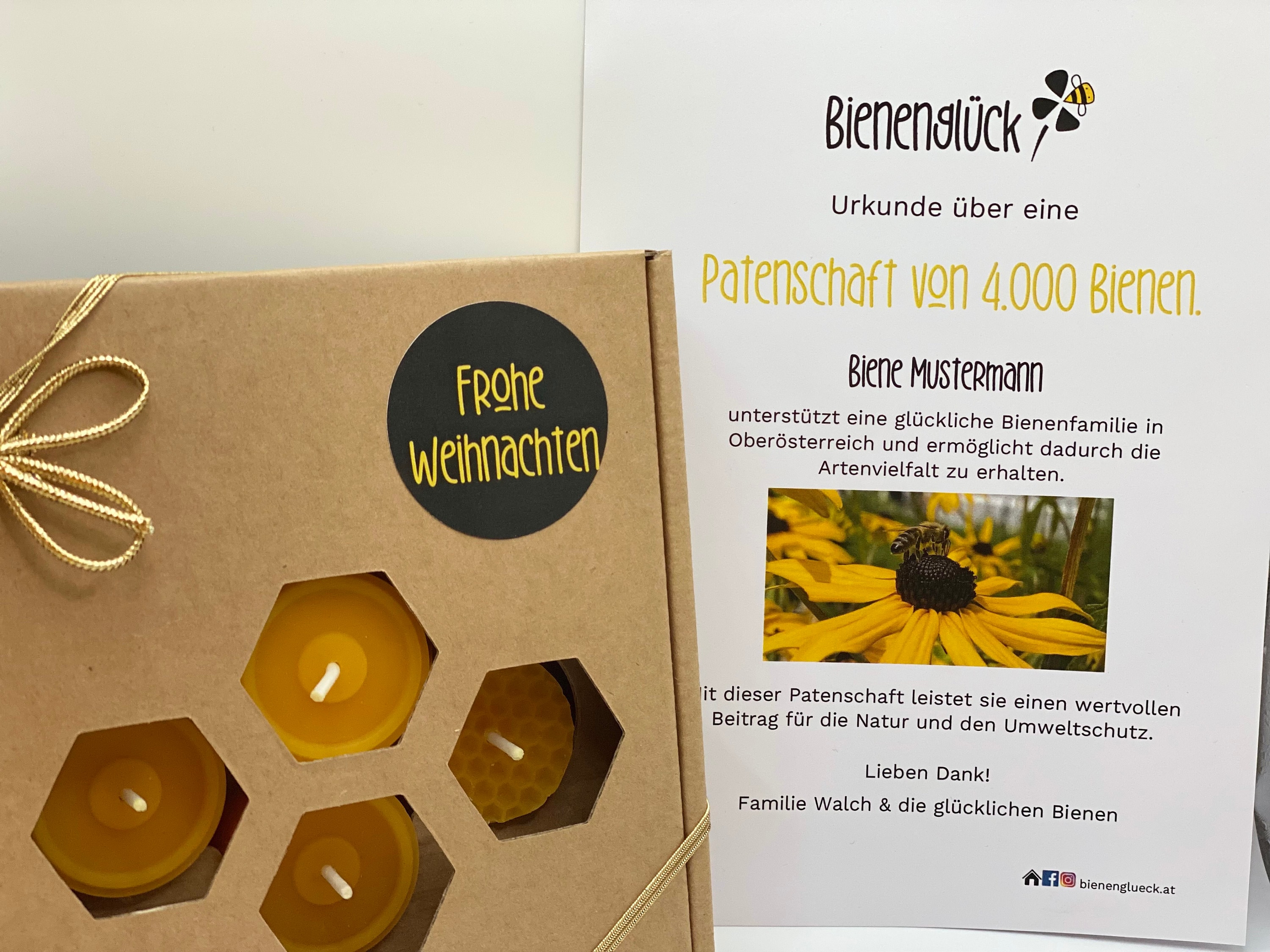 Bee sponsorships start from 1 euro