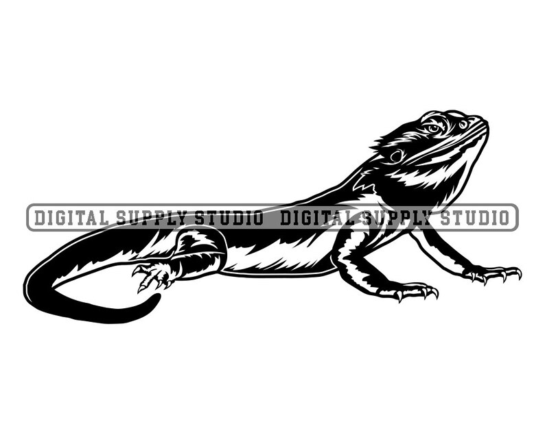 Bearded Dragon 6 Svg Lizard Svg Reptile Svg Bearded Dragon | Etsy Hong Kong