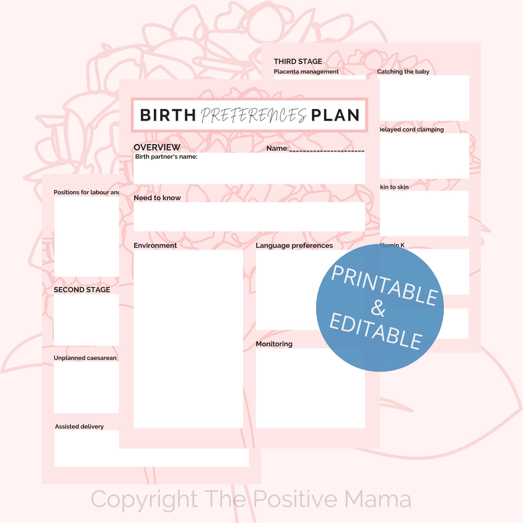 EDITABLE BIRTH PREFERENCES and Plan/ Printable Birth Preferences Plan ...