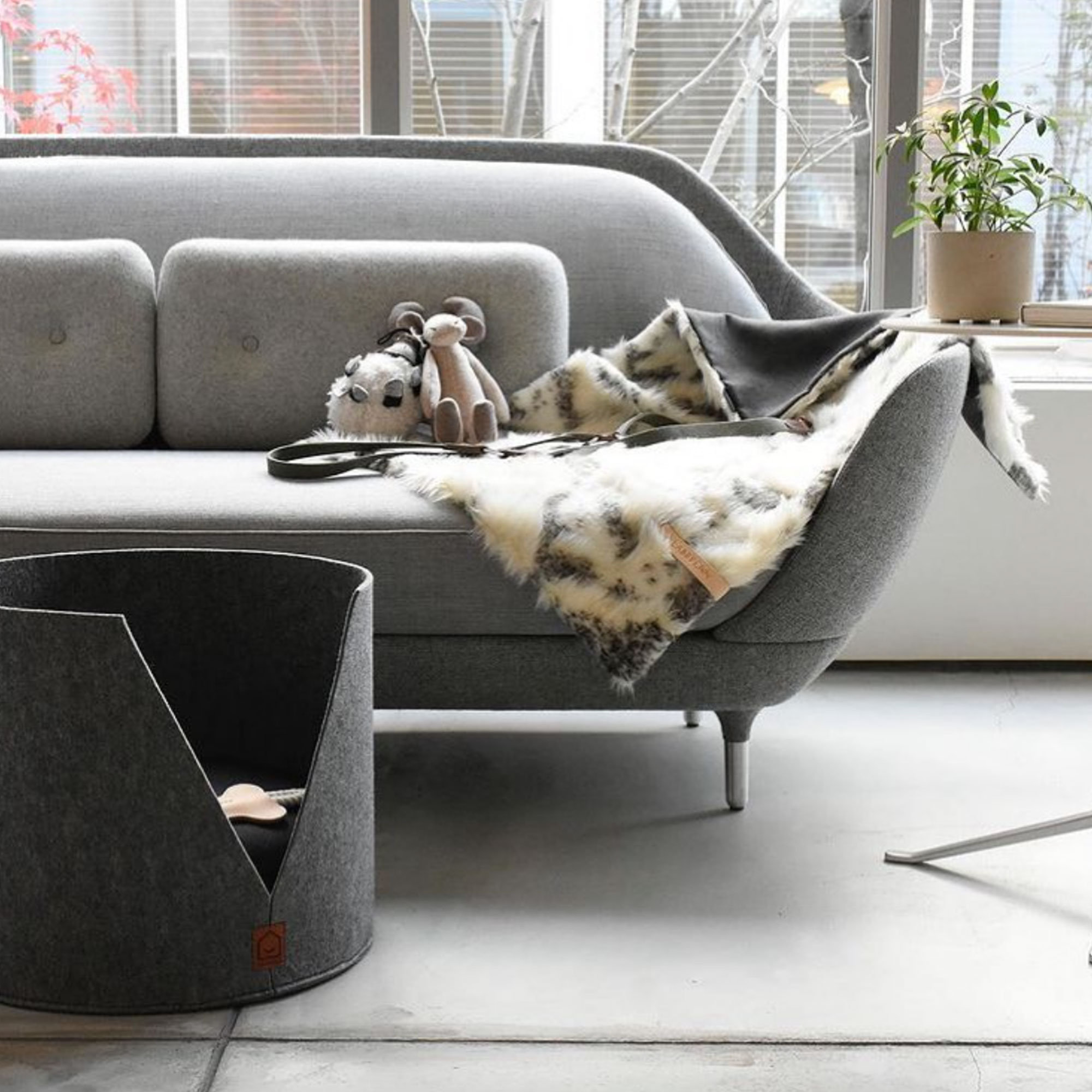 Lit Design Pour Petits