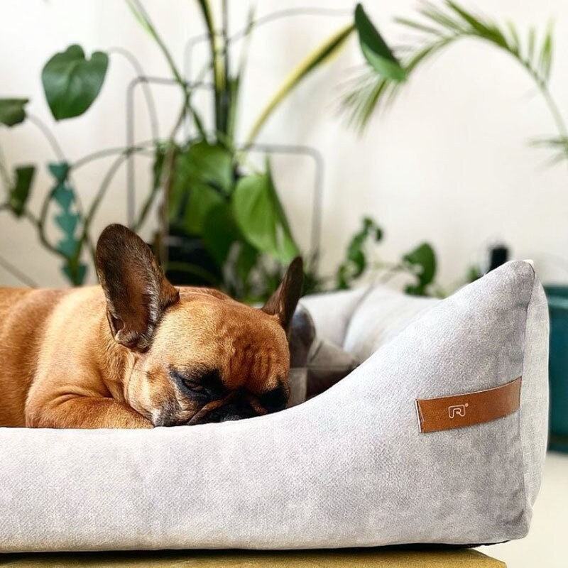 Panier Pour Chien/Chat