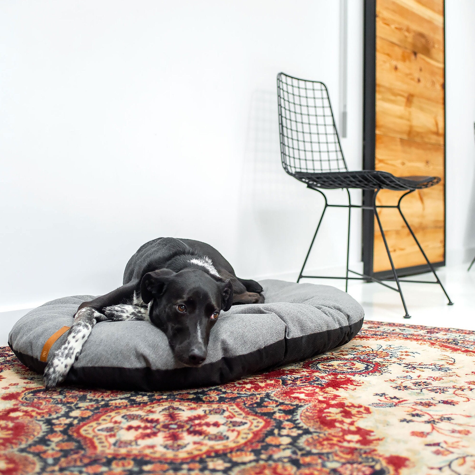 Coussin Pour Chien Design