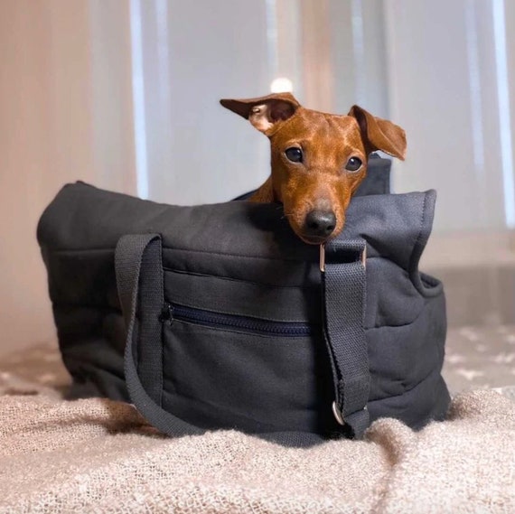 Borsa Da Trasporto Per Cani E Gatti, Borsa Da Viaggio Per Cani Di Piccola  Taglia, Borsa