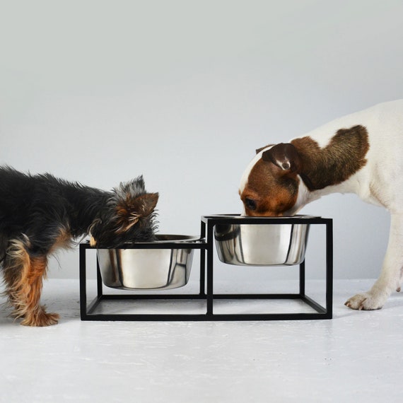 Set of 2 Raised Dog Bowls, Black Metal Wire Base, Dog Bowl, Small Dog Bowl, Dog  Feeder, Steel Bowl Kum 