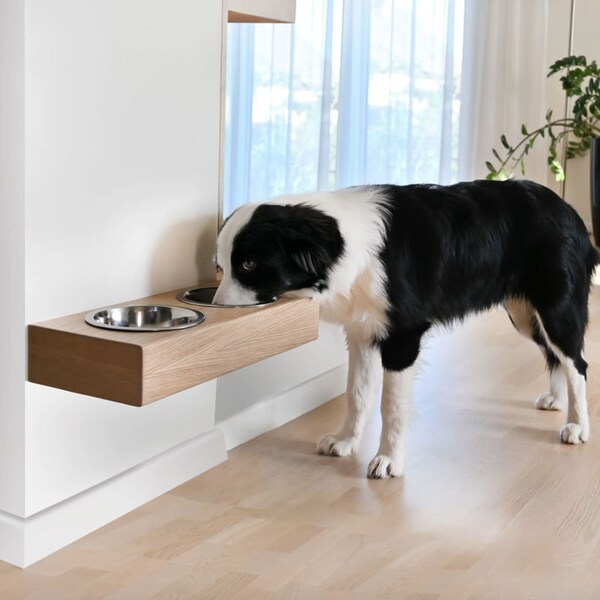 Wall Mount Dog Bowl Etsy