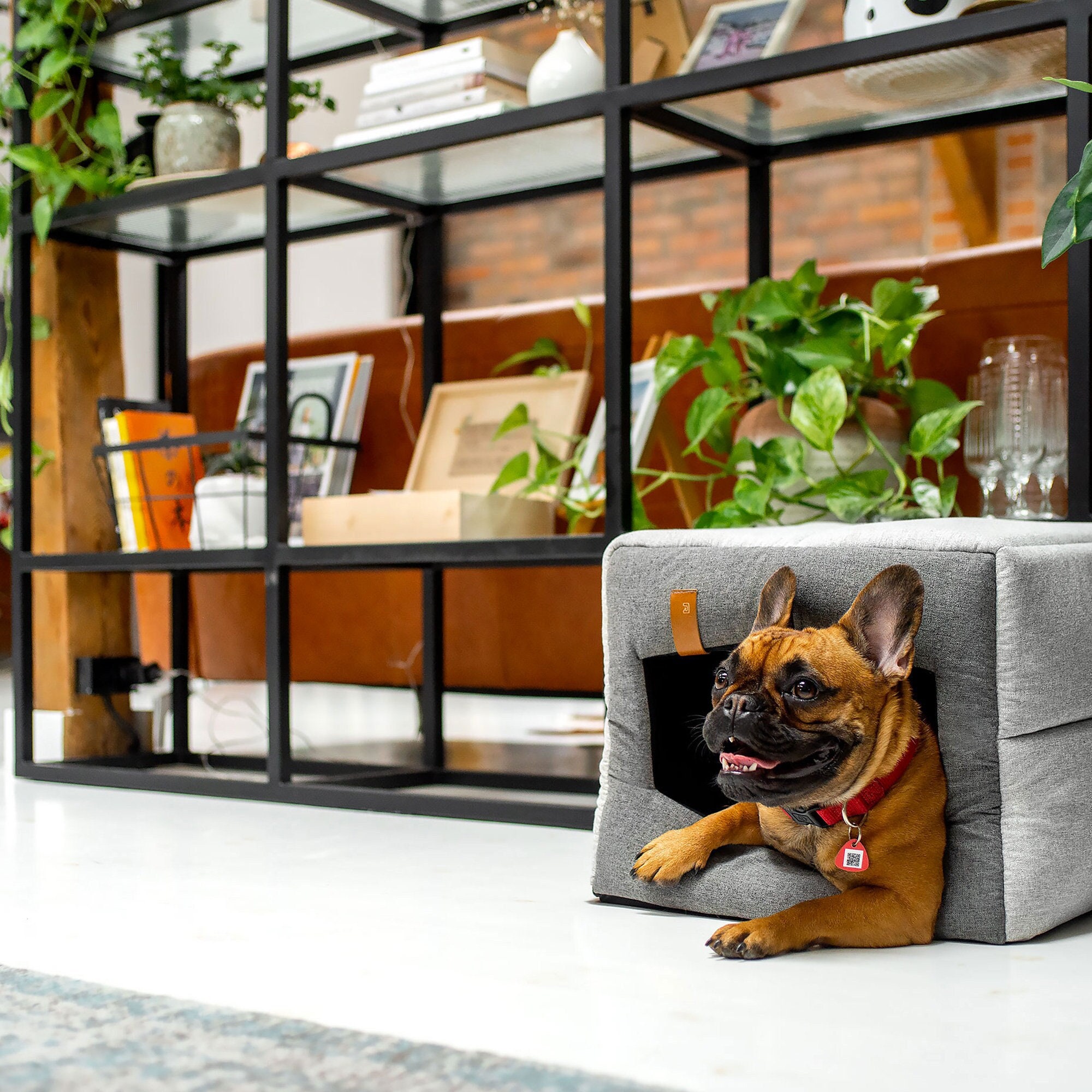 Maison Pour Chien/Chat Design 2 en 1 Tissu à Ouverture Rectangulaire Luola - Couleur Gris