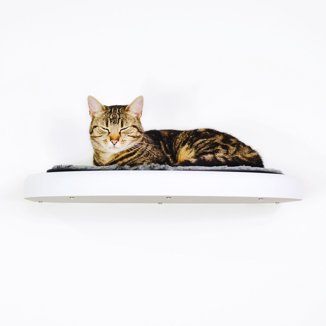 Design Wall Cat Tree, Cat Shelf, Cat Path, Wall Cat Bed, Decorative Cat