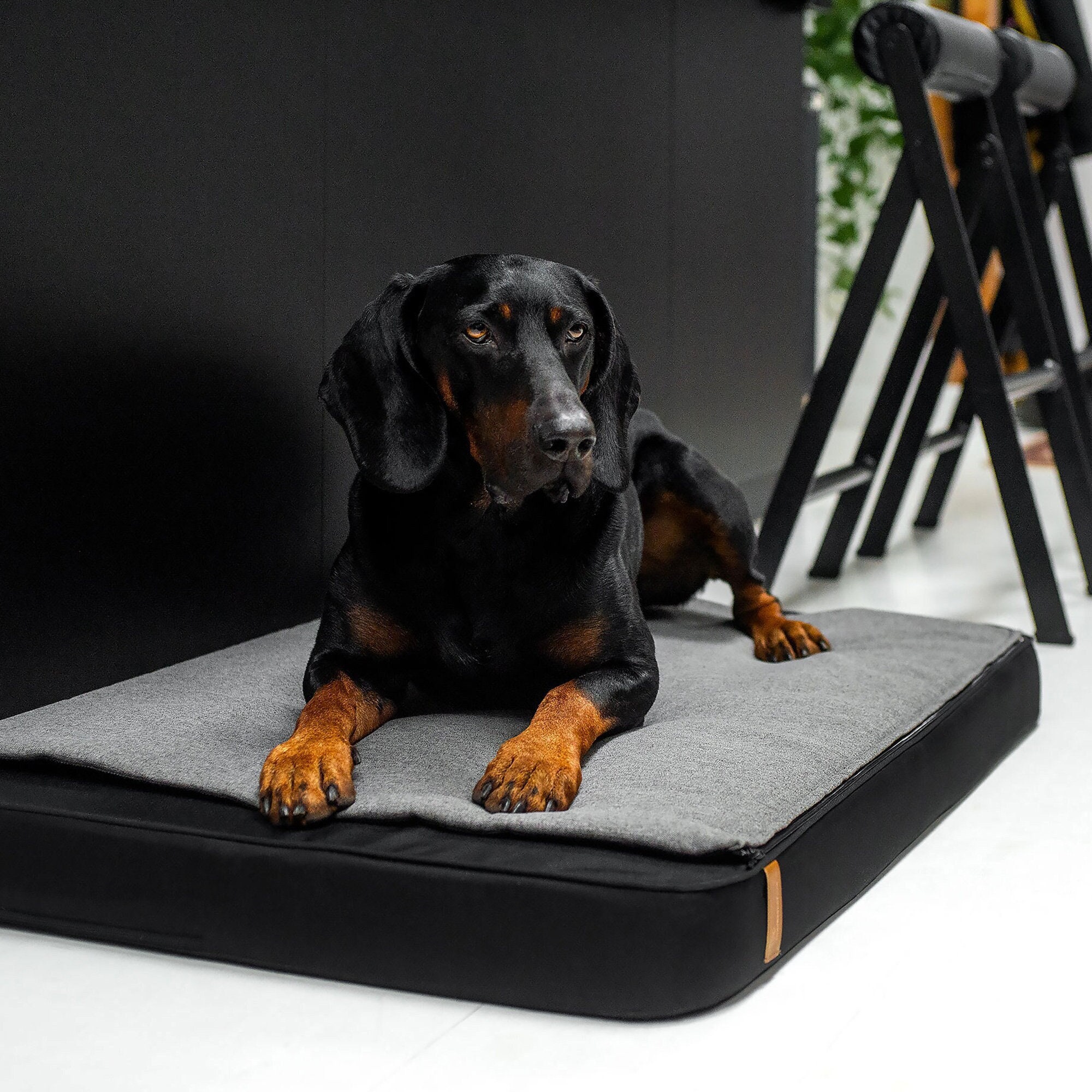 Lit/Matelas Chien Orthopédique