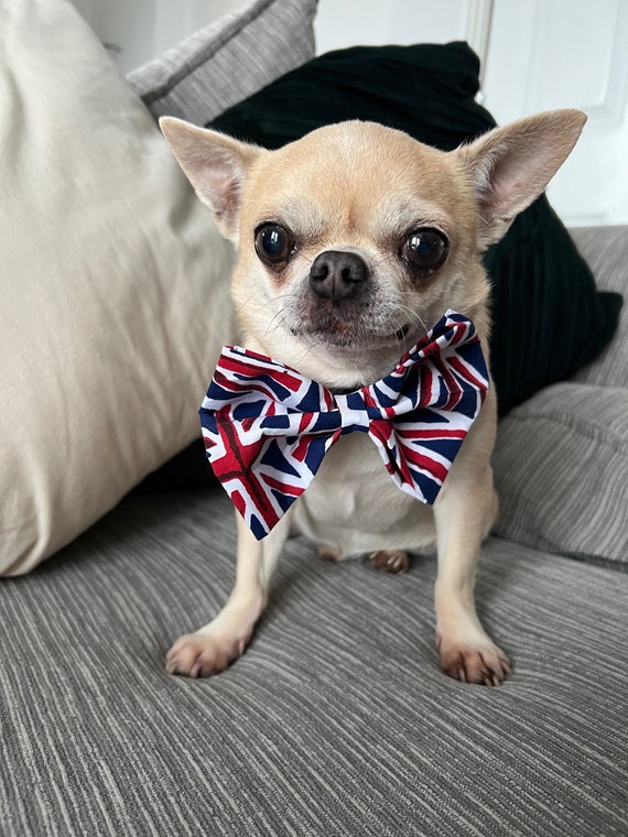 Dog Jubilee Bow Tie Queen's Jubilee Royal Family Dog Etsy UK