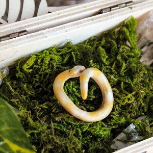 May include: A small, coiled snake figurine with a smooth, pale yellow and white body, resting on a bed of vibrant green moss inside a light-colored wooden box with a decorative cutout lid and visible clear crystal accents.