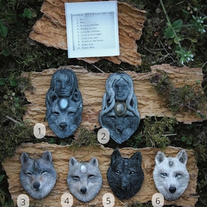 Può includere: Una collezione di ciondoli e sculture a tema lupo. I ciondoli presentano una testa di lupo combinata con un volto umano. Le sculture sono in vari colori, tra cui grigio, nero e bianco. Una piccola carta elenca le "Regole generali del lupo per la vita."