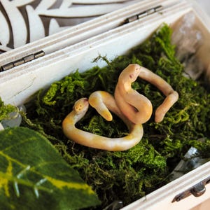 May include: A small, pale yellow and cream-colored snake figurine with subtle orange markings, coiled atop a bed of vibrant green moss inside a light-colored wooden box featuring a decorative cutout pattern on the lid.